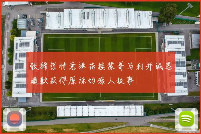 张稀哲特意捧花接蒙哥马利并诚恳道歉获得原谅的感人故事
