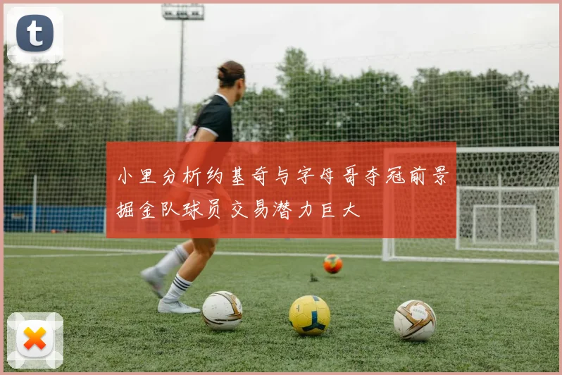 小里分析约基奇与字母哥夺冠前景掘金队球员交易潜力巨大